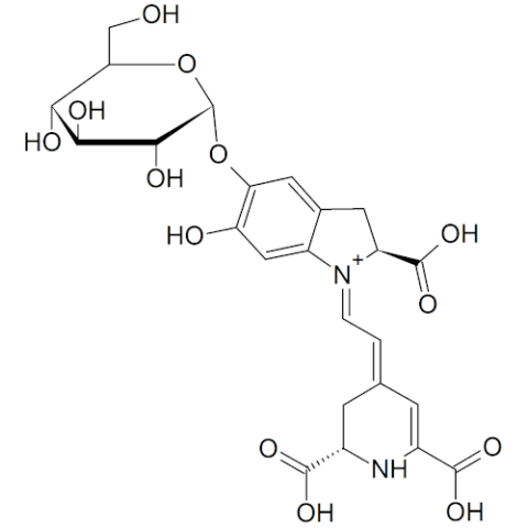 Betanin #1000 | Betaelegans